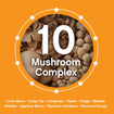 Organic Mushroom Capsules | Grown in a Certified US Facility | 10-in-1 Complex 1,200 mg | Lion’s Mane, Chaga, Turkey Tail, Maitake, Shiitake, Reishi  & More | Laboratory Tested | Superior Absorption